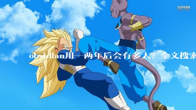 obsidian用一两年后会有多大？全文搜索还快吗？
