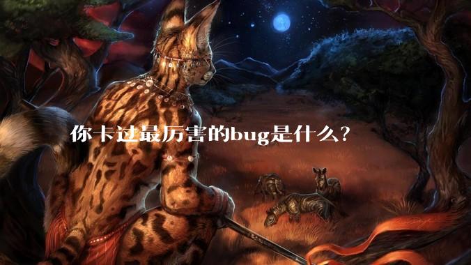 你卡过最厉害的bug是什么？