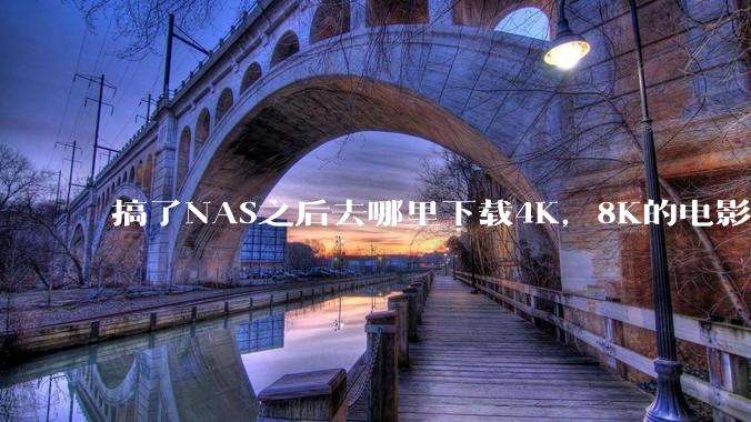 搞了NAS之后去哪里下载4K，8K的电影？
