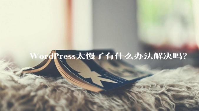 WordPress太慢了有什么办法解决吗？
