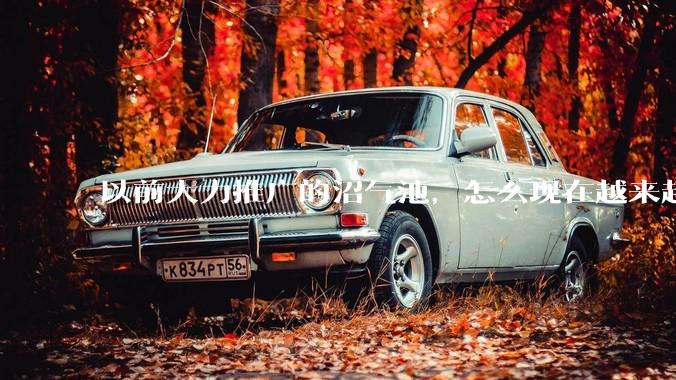 以前大力推广的沼气池，怎么现在越来越少了？