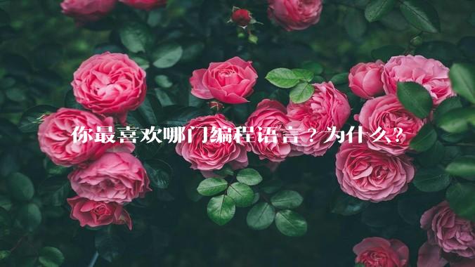 你最喜欢哪门编程语言?为什么?