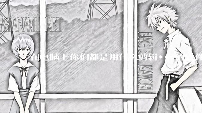 在电脑上你们都是用什么剪辑***的软件啊？