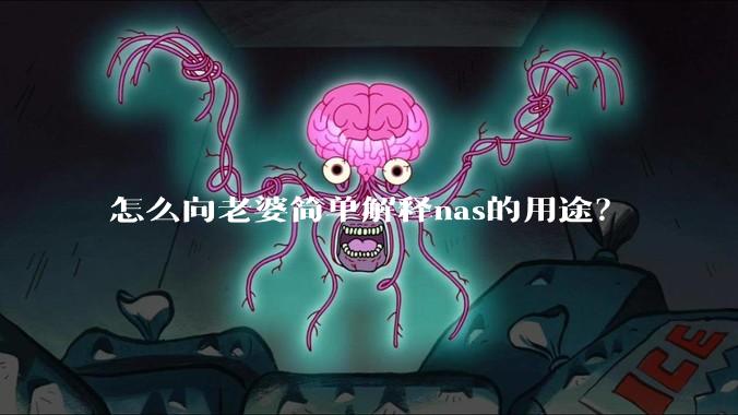 怎么向老婆简单解释nas的用途？