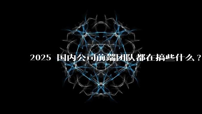 2025 国内公司前端团队都在搞些什么?